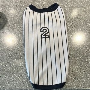 Dog Baseball Jersey